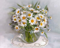 Без бренда «2KMA-0021» в Саратове