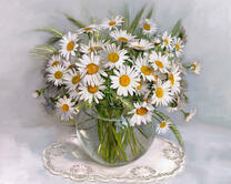 Без бренда «2KMA-0021» в Саратове