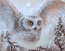 Без бренда «2KMB-3848» в Саратове