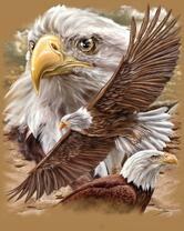 Без бренда «2KMB-4315» в Саратове