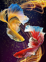 Без бренда «Желтая и красная рыбки» в Саратове