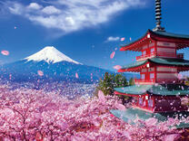 Без бренда «2KSB-7277» в Саратове