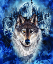 Без бренда «2KXSB-0687» в Саратове