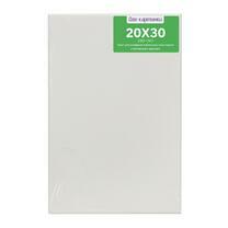 Без бренда «Коробка 80 шт.: Холст Две картинки на подрамнике 20X30» в Саратове