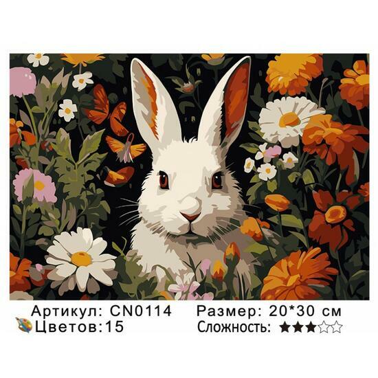 Картина по номерам 20x30 CN0114