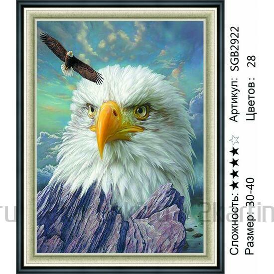 Алмазная мозаика 30x40 Огромный орел - символ гор