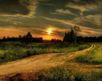 Без бренда «Проселочная дорога на закате» в Саратове