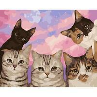 Без бренда «Такие разные котики» в Саратове в интернет-магазине  Без бренда «Такие разные котики» в Саратове