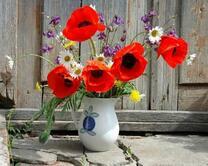 Полевые цветы и маки в белом кувшине