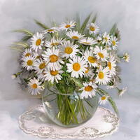 Без бренда «Букет свежих ромашек» в Саратове в интернет-магазине  Без бренда «Букет свежих ромашек» в Саратове