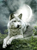 Без бренда «Коробка 25 шт. картин по номерам BOX25-GX21058» в Саратове