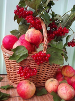 Без бренда «Коробка 25 шт. картин по номерам BOX25-GX5174» в Саратове