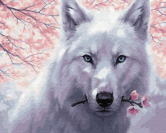 Картина по номерам 40x50 Белый волк с веточкой сакуры
