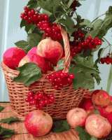 Без бренда «Плетёная корзина с калиной и яблоками» в Саратове