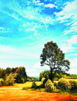 Без бренда «Осенний пейзаж с голубым небом» в Саратове