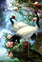 Без бренда «Коробка 25 шт. картин по номерам BOX25-GX29399» в Саратове в интернет-магазине  Без бренда «Коробка 25 шт. картин по номерам BOX25-GX29399» в Саратове