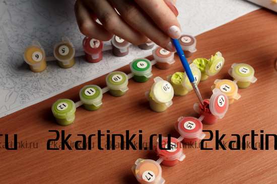 Картина по номерам 40x50 GX8999 Лев в стиле поп-арт за 995 руб. в интернет-магазине Картина по номерам 40x50 Лев в стиле поп-арт