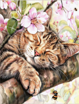 Без бренда «Волосатый котик спит на ветви яблони» в Саратове