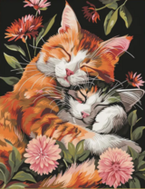 Кот обнимает кошечку