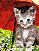 Котёнок под красным зонтом