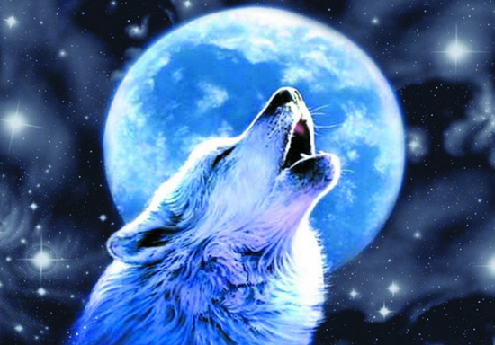 Алмазная мозаика 30x40 Белый волк на фоне полной луны