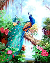 Красивые павлина в лесу среди цветов